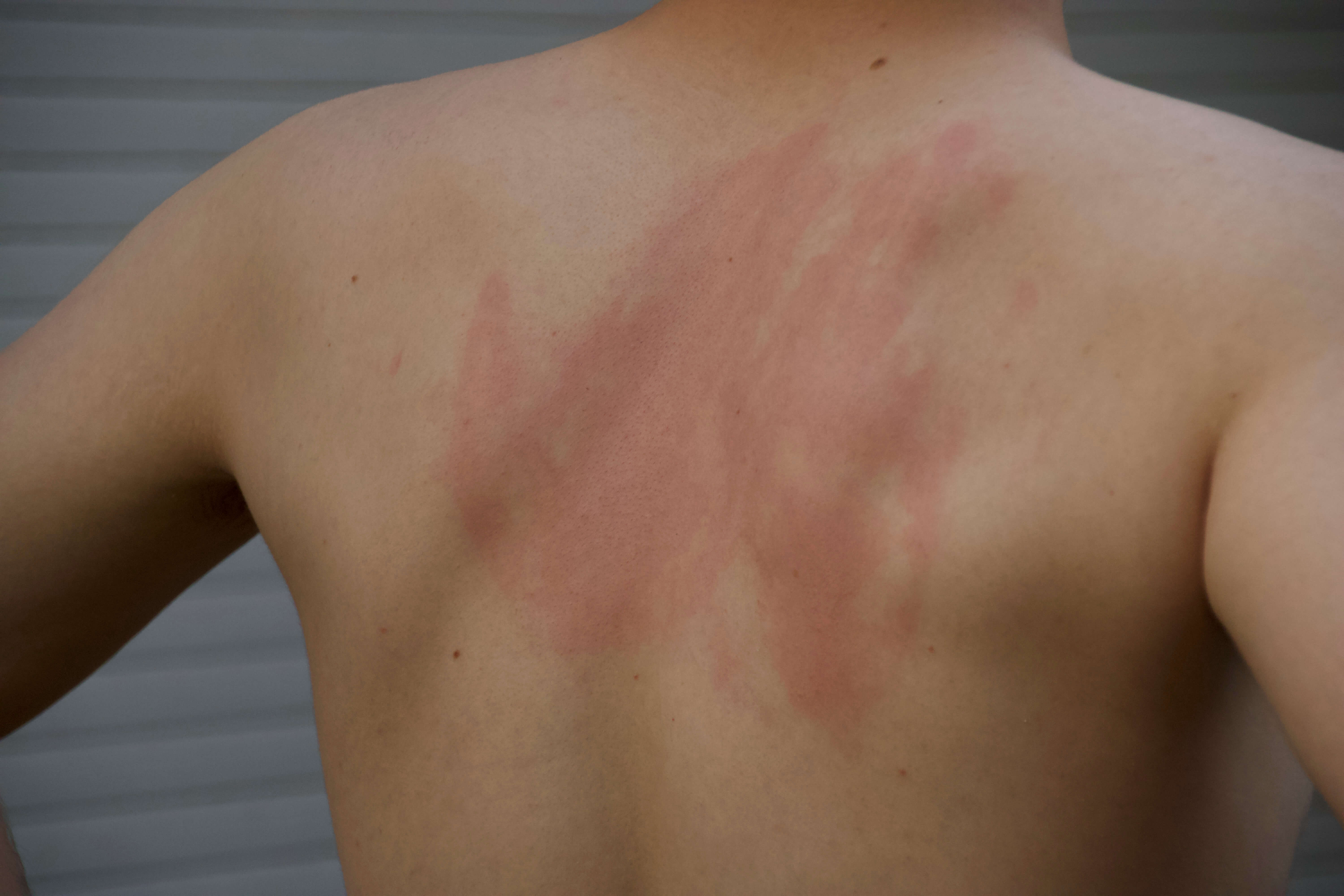 GrillOff-Stock-Photo